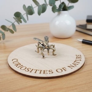 Statuetta di cicala in ottone massiccio, miniatura di insetto, stile vintage, piccolo ciondolo a forma di insetto in metallo, decorazione da tavolo.