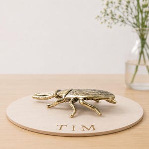 May include: A metallic gold-toned beetle figurine with detailed textured wings and legs, positioned on a circular light-colored wooden base that features the engraved name TIM in capital letters on the front edge of the wooden surface.