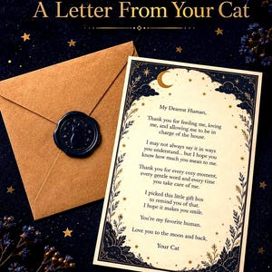 K&ouml;nnte beinhalten: Ein beigefarbener Umschlag mit einem dunkelblauen Wachssiegel, das die Silhouette einer Katze zeigt, sowie eine cremefarbene Karte mit der &Uuml;berschrift A Letter From Your Cat. Die Karte hat einen dunkelblauen Rand mit goldenen Sternen.