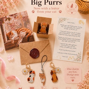 K&ouml;nnte beinhalten: Ein Geschenkset mit einer kleinen braunen Pappschachtel, die einen orangefarbenen Katzenanh&auml;nger enth&auml;lt, einem braunen Umschlag mit rotem Wachssiegel, einem gedruckten Brief an Mama und drei Katzenanh&auml;ngern mit G&auml;nsebl&uuml;mchen auf hellem Grund.