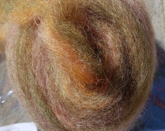 Border Leicester roving, hand dyed gradient roving bump, 4 ounces Border Leicester fleece, spinning roving, wool