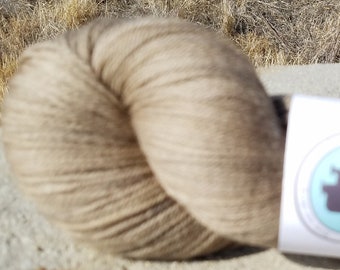 Naturally Dyed Merino Sock Yarn, 490 yds, 100g, Botanically Dyed Fingering Weight Yarn, fingering weight, indie dyer