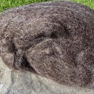 May include: A large, dark brown mass of fiber, possibly wool or a similar material, rests on a stone surface. The fibers are tightly packed and have a slightly crimped texture. The background features green grass.