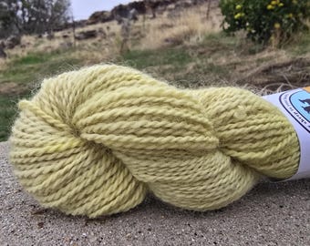 Small Batch Border Leicester Yarn, Red Onion Dyed DK Weight