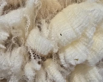 Border Leicester,Merino crossbred fleece, raw wool, natural fleece, 2 lbs, 15 ounces raw spinning fiber, grease fleece