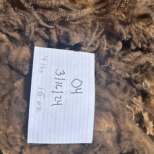 Merino Fleece, Raw Wool, 4 Lbs, 15 Oz Merino Sheep Fleece, Hand ...