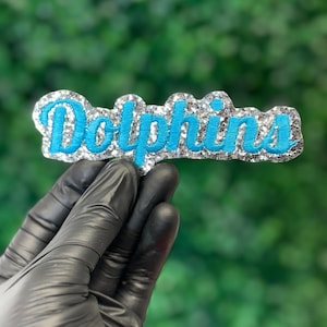 May include: A glittery patch with the word "Dolphins" in bright blue script. The patch has a silver glitter border and is held against a blurred green background.