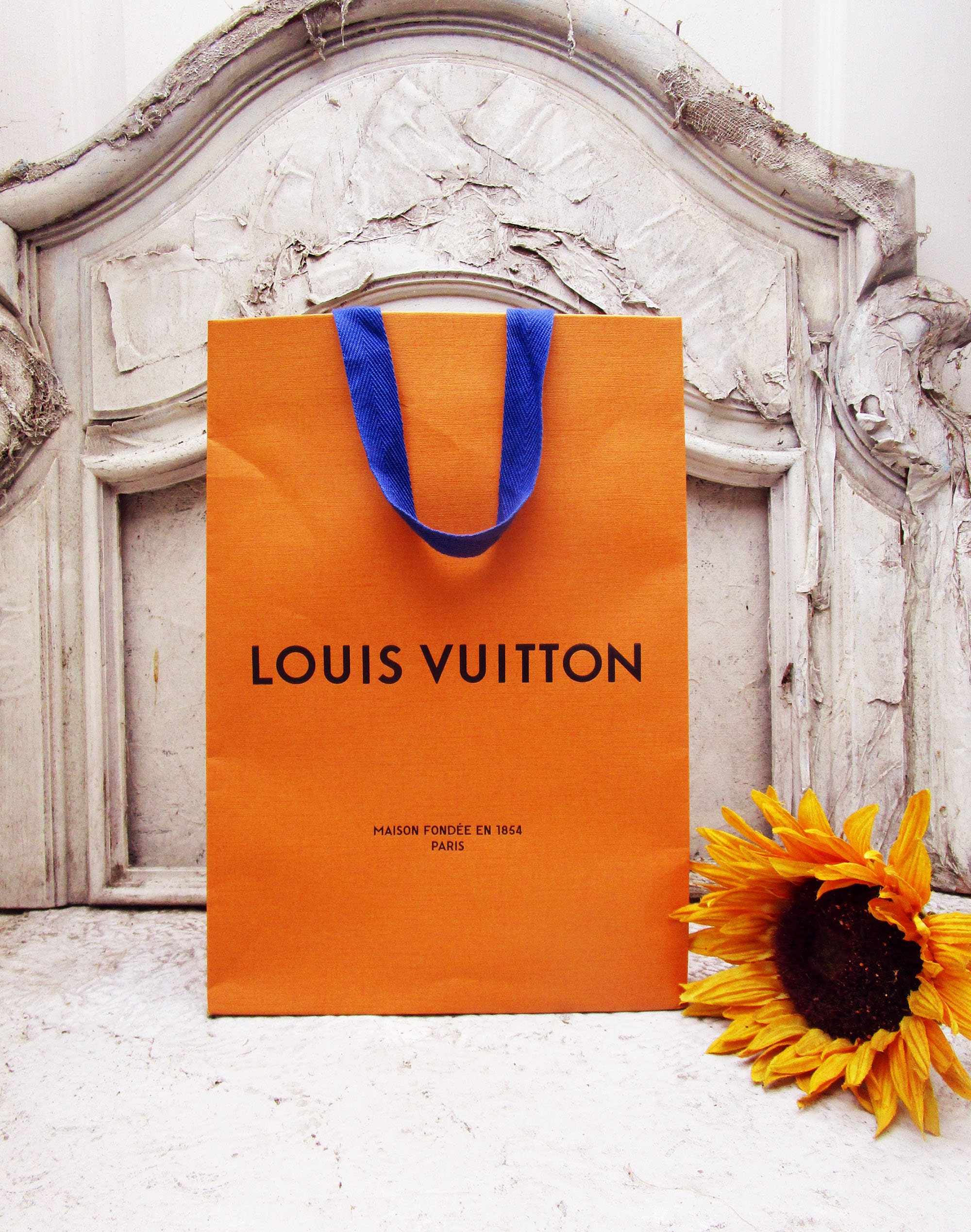 louis vuitton grocery bag