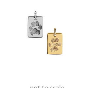 Solid 14k gold Your pet's actual paw print custom made tag pendant in 14k yellow or white gold • Personalized jewelry for dog or cat lover