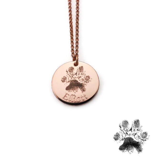 garmin alpha training buttons