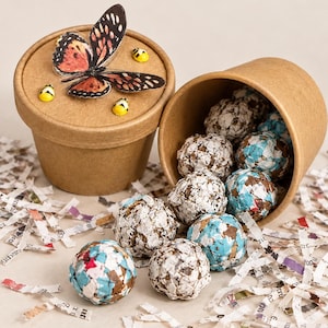 May include: Two round tan cardboard containers, one closed with a butterfly and three small yellow bee embellishments on the lid, and one open, spilling out several small, textured, spherical balls in shades of white, brown, and light blue.