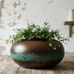 Peut inclure: Un grand pot en cuivre rond, avec une texture martelée et une bande de vert-de-gris. Le pot est rempli de plantes vertes et de petites fleurs blanches. Deux pichets blancs sont posés sur une étagère en bois à l'arrière-plan.