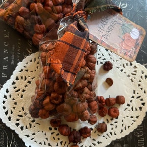 Fall Putka Pods, Harvest Mini Dried Pumpkins, Fall Potpourri Fixins, Fall Decor, Harvest Craft Supplies