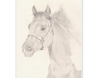 Hand-Drawn Fine Art Print on Museum-Quality Matte Paper, Wooden Framed by Daniela Fogaça