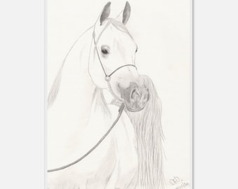 Hand-Drawn Fine Art Print on Museum-Quality Matte Paper, Wooden Framed by Daniela Fogaça