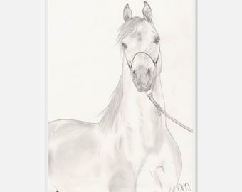 Hand-Drawn Fine Art Print on Museum-Quality Matte Paper, Wooden Framed by Daniela Fogaça