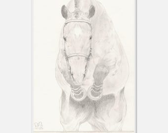 Hand-Drawn Fine Art Print on Museum-Quality Matte Paper, Wooden Framed by Daniela Fogaça