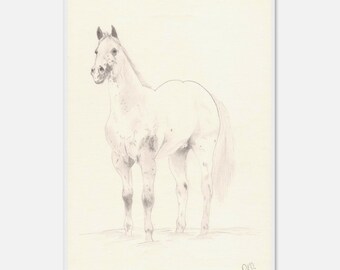 Hand-Drawn Fine Art Print on Museum-Quality Matte Paper, Wooden Framed by Daniela Fogaça