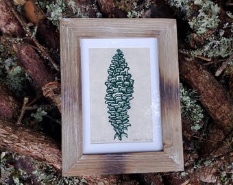 Handgepresster Zapfenabdruck der Weserkiefer (Pinus monticola) - minimalistische Blockprint-Kunst