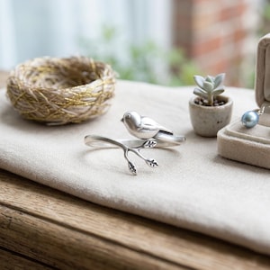 May include: A silver-colored bird-shaped bracelet with a branch design, featuring a small bird perched on a branch with leaves. A small woven nest and a succulent plant in a pot are also visible. A blue pearl earring is in a jewelry box.