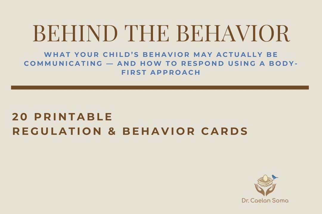 Behind the Behavior Translation Card Deck - Etsy
