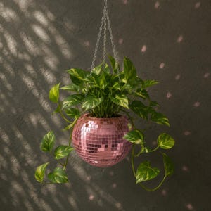 May include: A spherical pink disco ball planter suspended by a silver metal chain. The planter is filled with a lush green pothos plant featuring variegated heart-shaped leaves that spill over the sides of the reflective, mirrored surface.