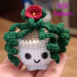 Planta colgante para coche, suculenta, patrón de crochet (descarga digital en PDF)