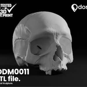 Old Human Skull Sculpture STL | High-Detail Anatomical Art Model