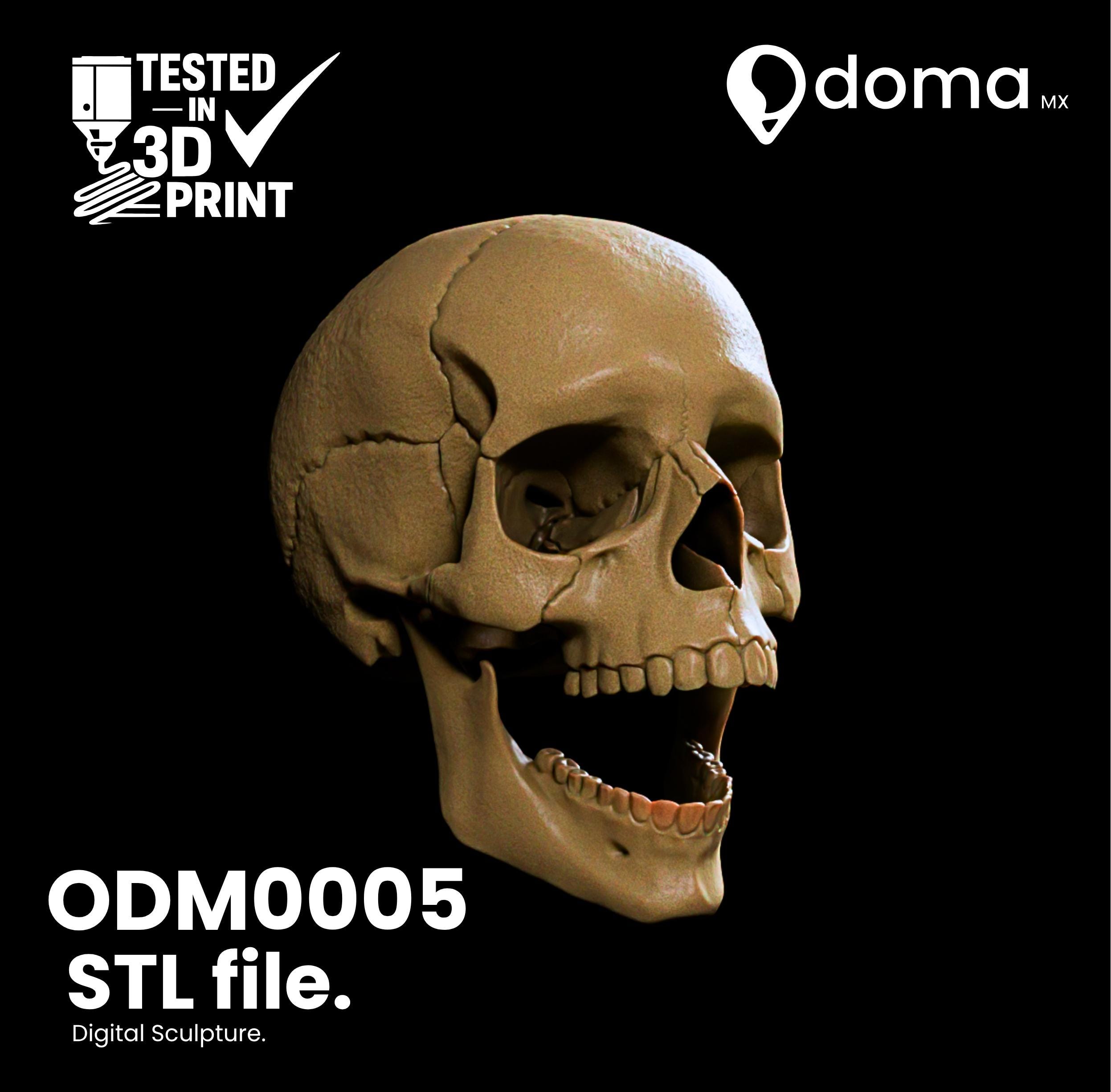 Human Skull STL Articulated Ball Joint Mandible 3D Printable Osteology Medical Anatomy Collector Model