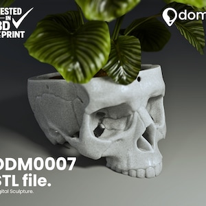 3D Printing Human Skull Planter | Skull Pot Sculpture for Decoration and Art Display