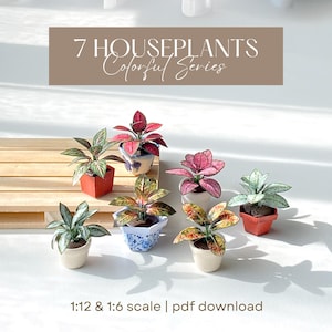 May include: Seven miniature houseplants in colorful pots are arranged on a wooden surface. The plants have red, green, and pink leaves. The text above reads "7 HOUSEPLANTS Colorful Series". The scale is 1:12 & 1:6.