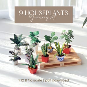 Può includere: Un set di nove piante da interno in miniatura di carta, disposte su un piccolo pallet di legno. Le piante sono in piccoli vasi di diversi colori e design. Il testo sull'immagine recita "9 HOUSEPLANTS Greenery set" e "1:12 & 1:6 scale | pdf download".