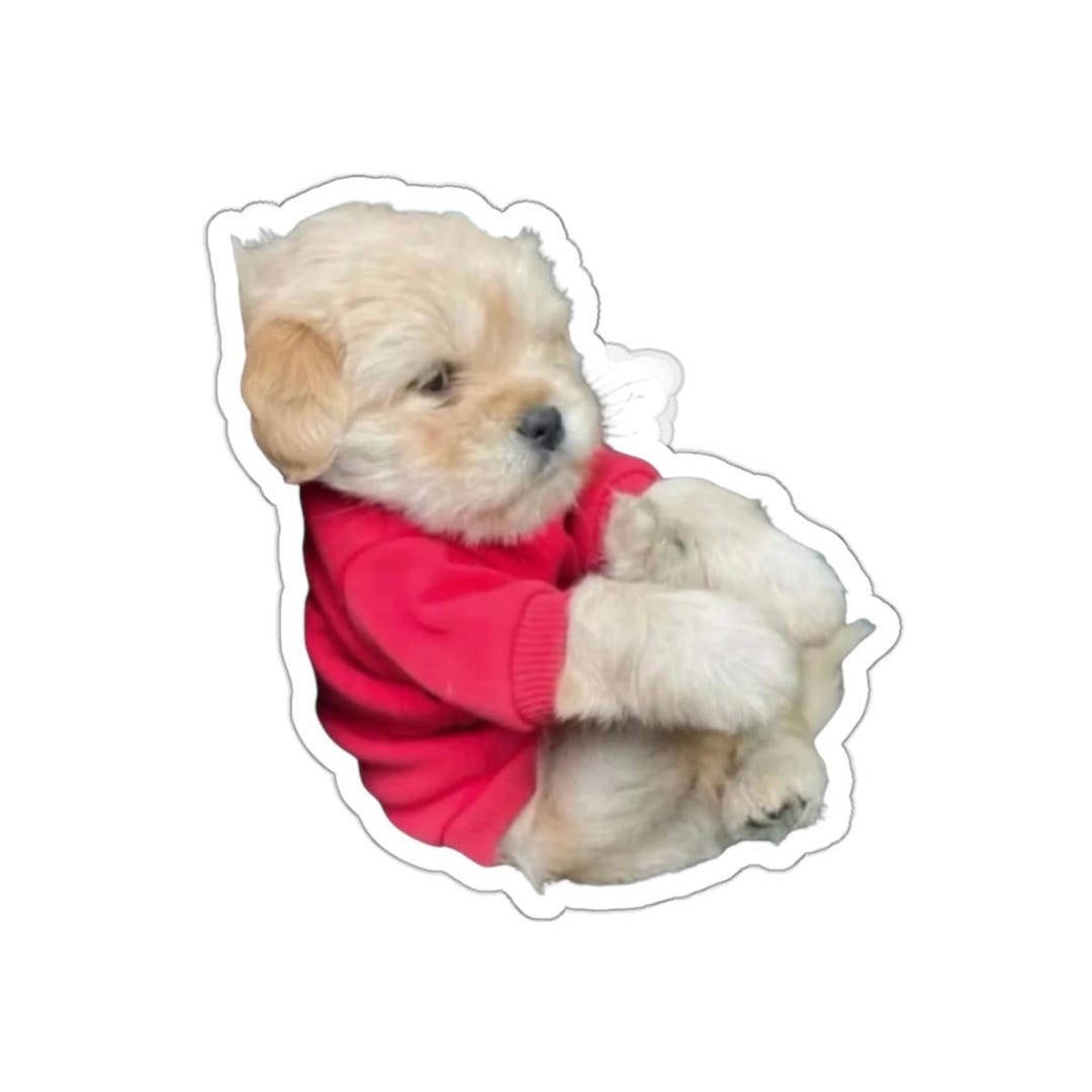 Puppy in Red Sweater Sticker | Die Cut Dog Sticker, Cute Puppy Decal - Etsy