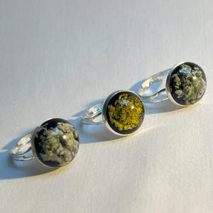 Silver rings of encapsulated lichen - unique, adjustable pieces