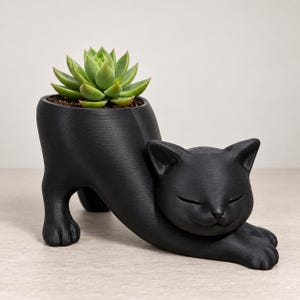 May include: A matte black planter shaped like a stretching cat with closed eyes and extended front paws. The cat's back forms a cylindrical container holding a green succulent plant with pointed leaves nestled in dark soil.