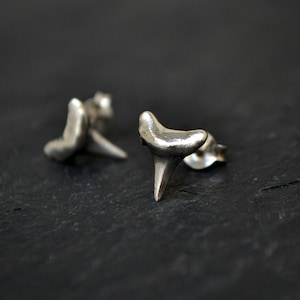 Shark Tooth Earrings Mens Stud Earrings Sterling Silver Beach Jewelry Shark Teeth Earrings Surfer Jewelry Bridesmaid Gift