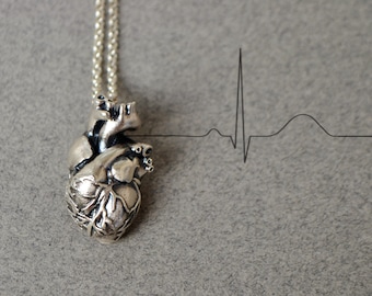 3D Anatomical Heart Necklace in Sterling Silver, Anatomy Necklace, Biology Jewelry, Gothic Necklace Medical Student Nurse Doctor Gift