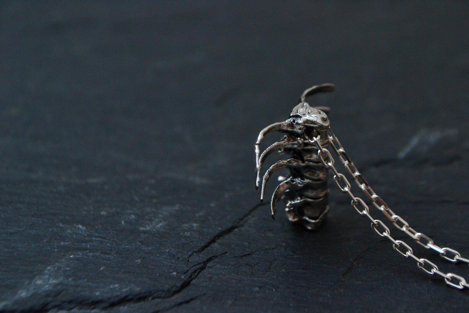 Anatomical Rib Cage Gothic Necklace Sterling Silver Macabre - Etsy