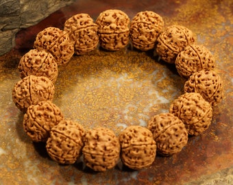 Five Face Rudraksha Bracelet Mala • Large Rudraksha Beads • 20-21mm • Nepali Rudraksha Beads • 5-Mukhi Bracelet • Rudraksha Nepal • 3528