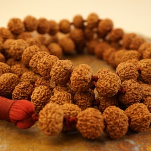 10-mukhi 7-9mm Indonesian Rudraksha Mala, Hand Knotted Mala Necklace (Natural Undyed Beads), Ten Face Rudraksha Mala 3257