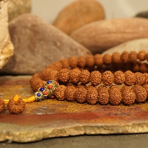 Seven Mukhi Rudraksha Mala | Seven Face Rudraksha Mala | 10-11mm | Indonesian 7 Mukhi Beads | 7 Face Rudraksha Mala | 3411