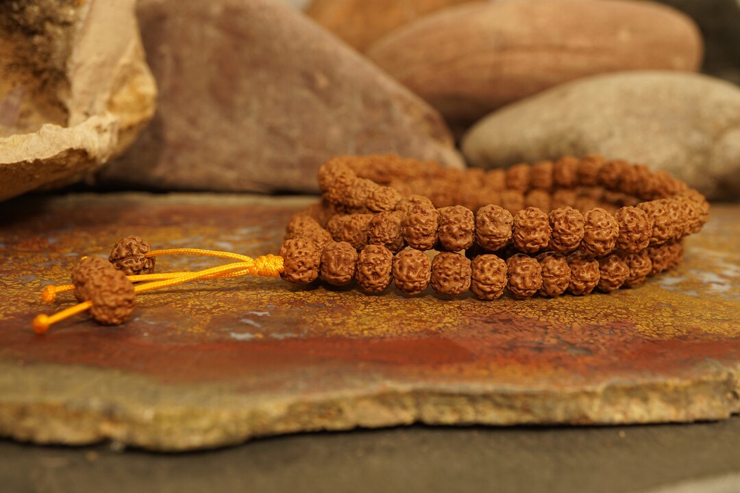 Pathri Rudraksh Semi Pathri Rudraksha Indonesian Semi-pathri Rudraksha Mala 8.5-9mm ...