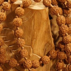 Pathri Rudraksh Pathri Rudraksha Mala • Pathri Mala • 8mm-8.5mm • Chikna Rudraksha ...