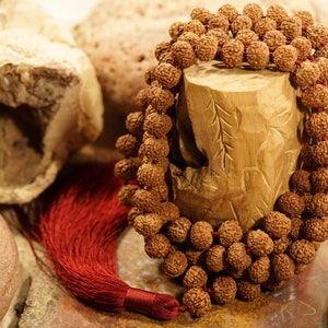 Seven Mukhi Rudraksha Mala 108+1 | Seven Face Rudraksha Mala | 13-14mm 7 Mukhi Mala Beads | Indonesian 7 Mukhi | 7 Face Rudraksha Mala 3931
