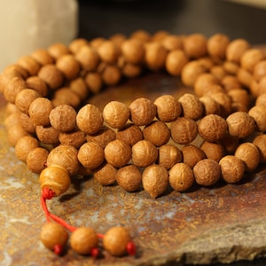 Bodhi Seed Mala 11mm • Nepal Bodhi • Phoenix Eye Mala • Buddhist Prayer Beads • Tibetan Mala • Buddha Chitta Mala • Pu Ti Zi • 2557