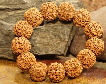 Five Face Rudraksha Bracelet Mala • Large Rudraksha Beads • 21-22mm • Nepali Rudraksha Beads • 5-Mukhi Bracelet • Rudraksha Nepal • 3502