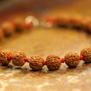 Pathri Rudraksha Bracelet • Chikna Rudraksha Bracelet • 8mm-9mm • 3596