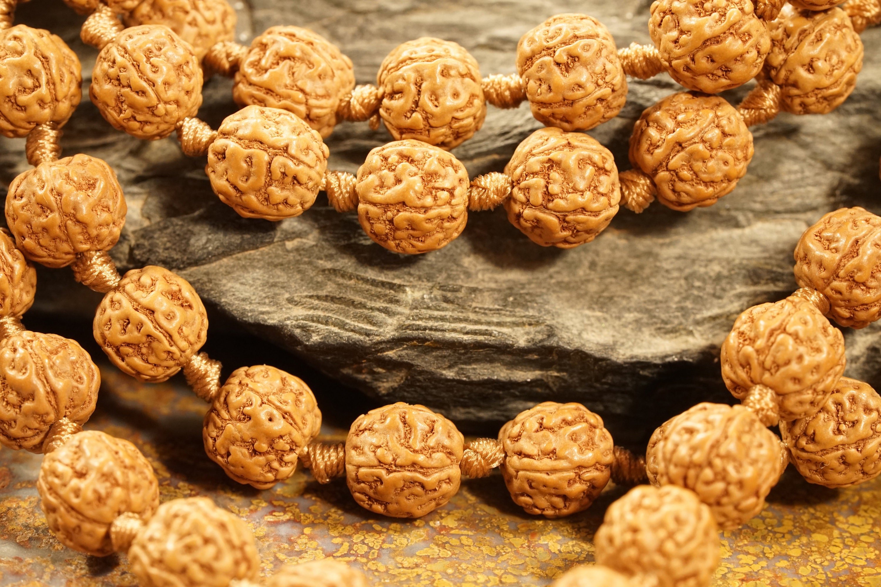 Pathri Rudraksh Pathri Rudraksha Mala • Pathri Mala • 8mm-8.5mm • Chikna Rudraksha ...