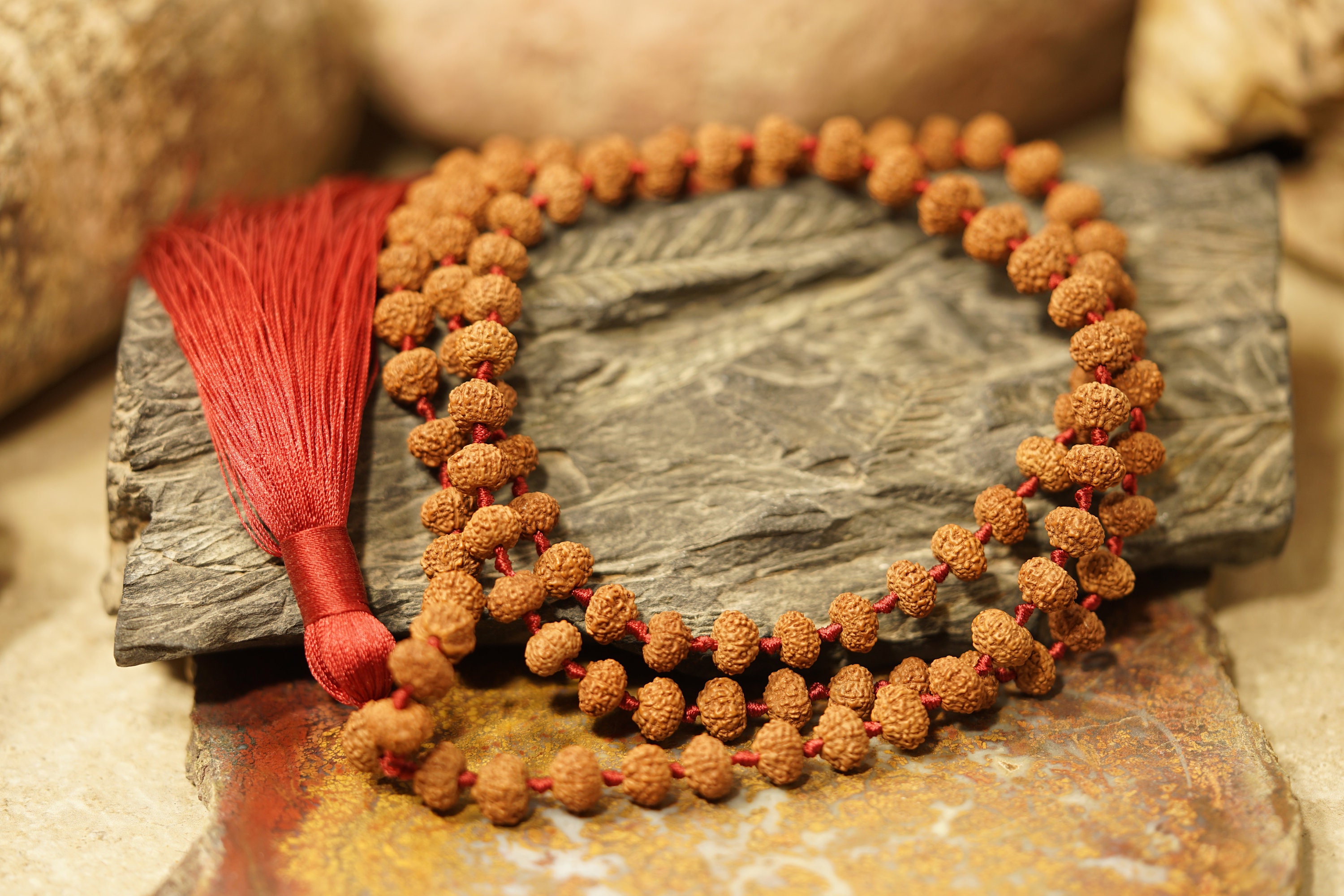 9ムキ(面)ルドラクシャ10mm1連Rudraksha(M) Giri - 9 Mukhi Rudraksha Mala | Japa Mala | Original