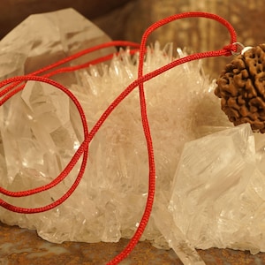 May include: A brown, five-pointed Rudraksha seed pendant on a red cord, resting on a cluster of clear quartz crystals.